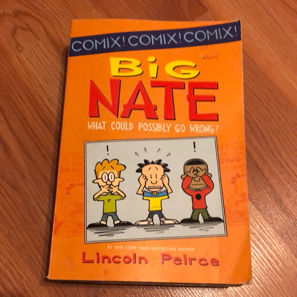 Big Nate what could possibly go wrong? Comix